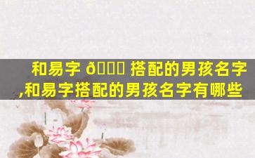 和易字 🍁 搭配的男孩名字,和易字搭配的男孩名字有哪些